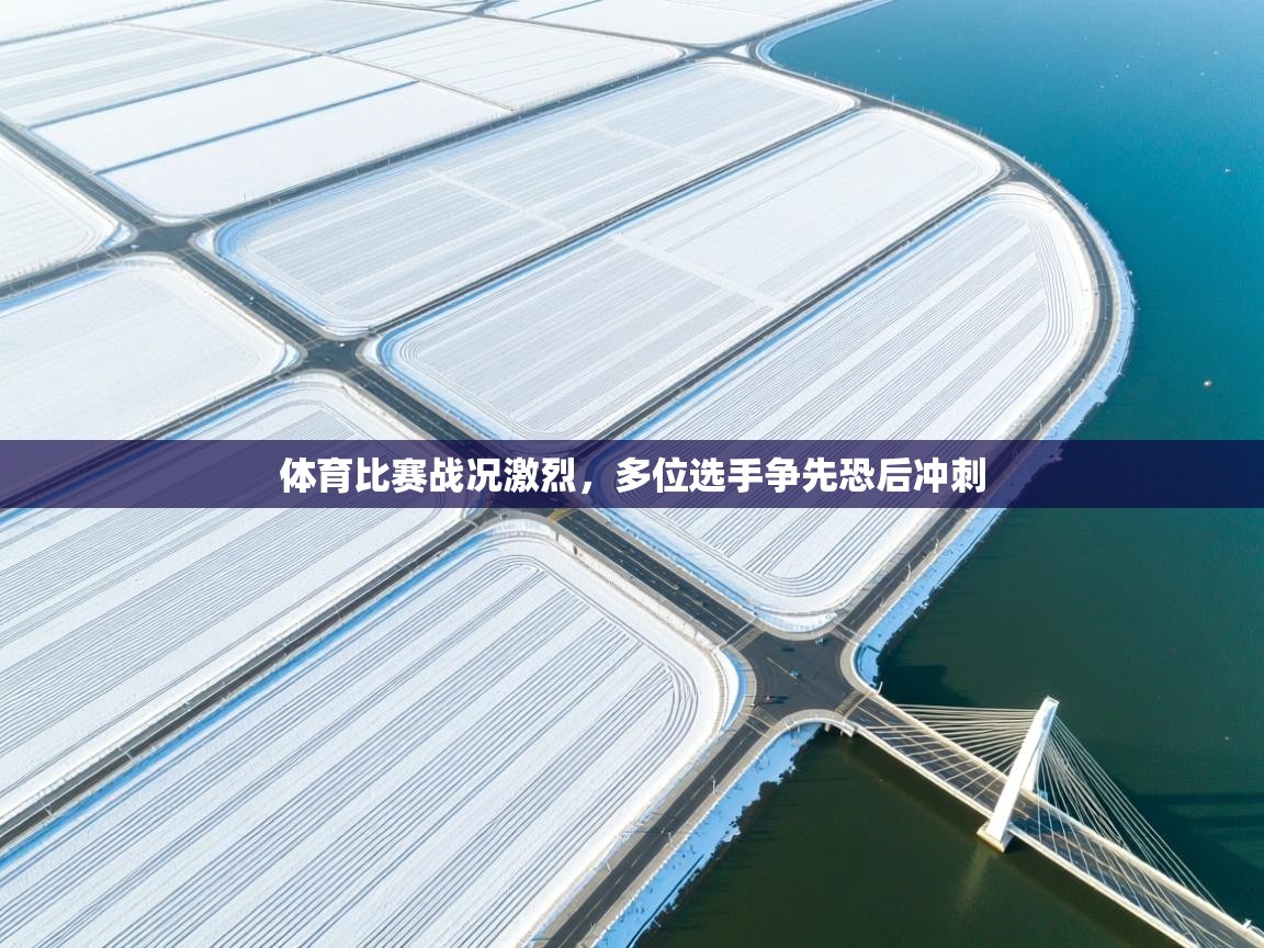 体育比赛战况激烈,多位选手争先恐后冲刺 第1张