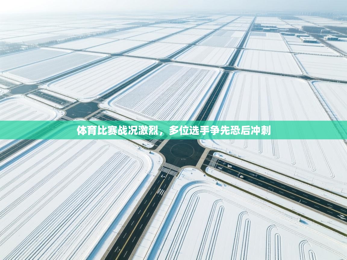 体育比赛战况激烈,多位选手争先恐后冲刺 第2张