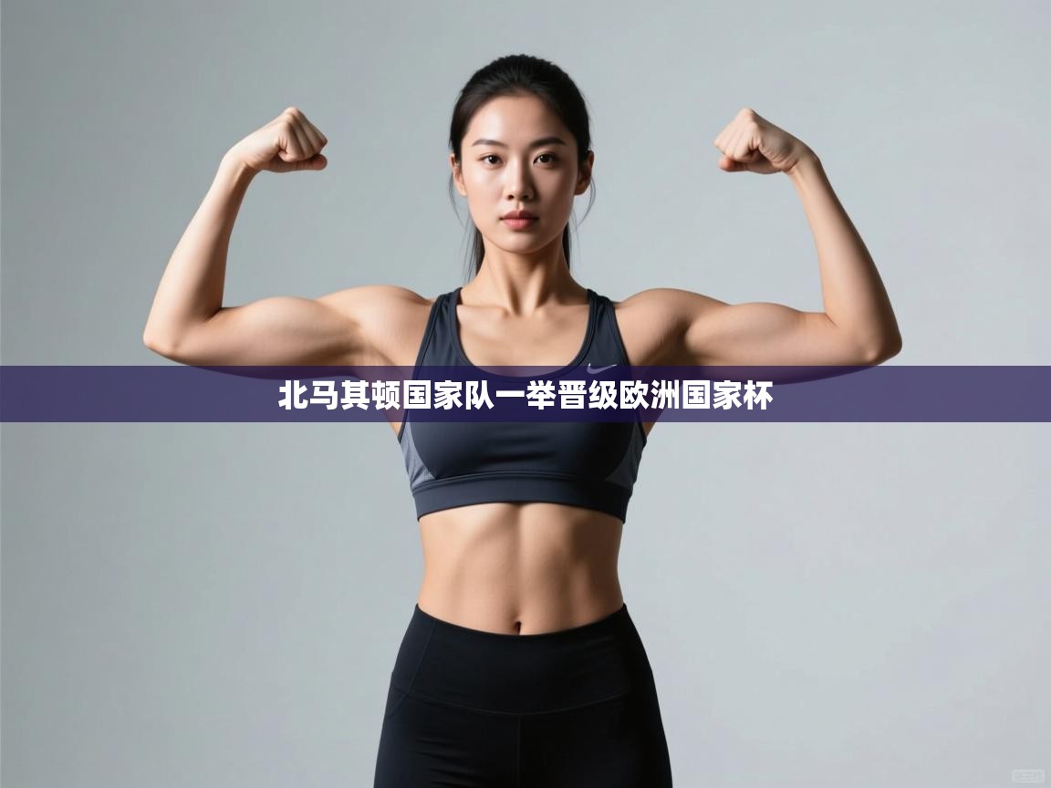 北马其顿国家队一举晋级欧洲国家杯  第1张